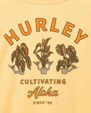 evdcultivatess_hurley