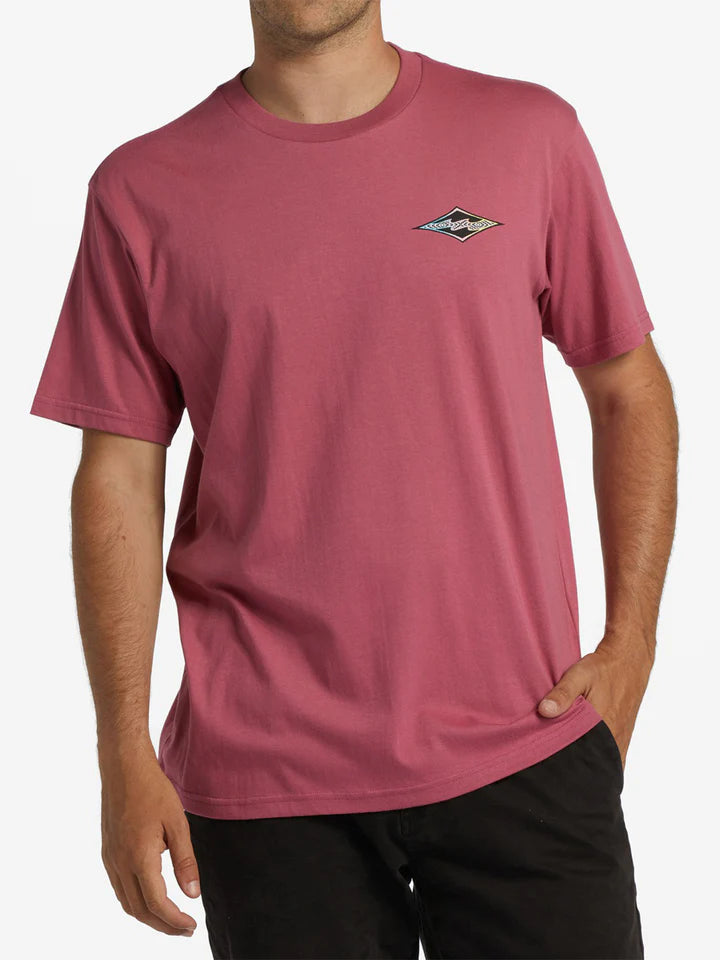 crayonwavetee_billabong
