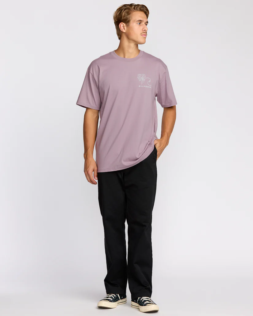 scenesregularss1_billabong