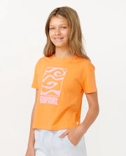 sunsollogocroptee_ripcurl