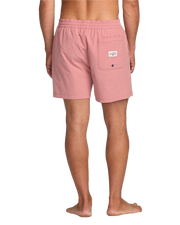 everyotherdaylayback_billabong
