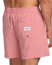 everyotherdaylayback_billabong