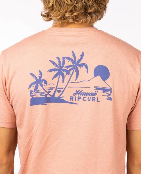 islandtimetee_ripcurl