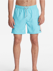 D Bah Layback Boardshorts