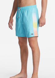 D Bah Layback Boardshorts