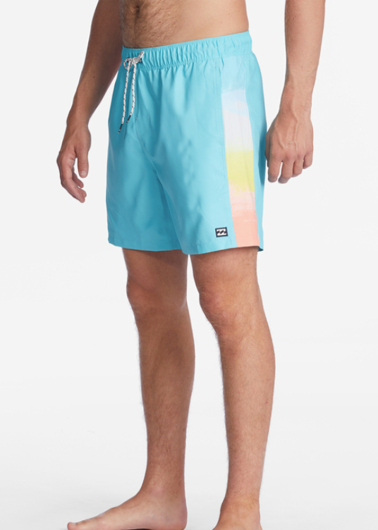 D Bah Layback Boardshorts