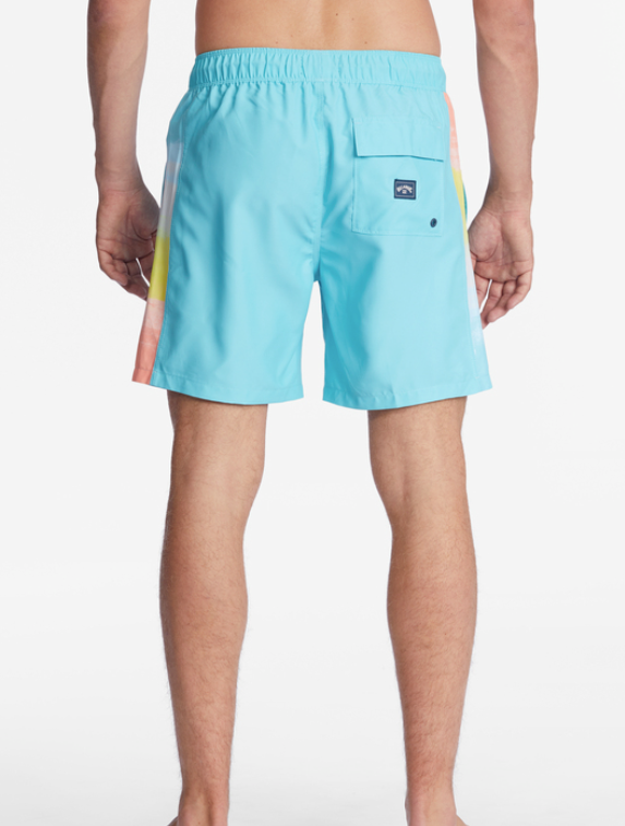 D Bah Layback Boardshorts