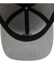 alldaysnapback_billabong