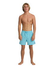 alldaylaybackbleu_billabong