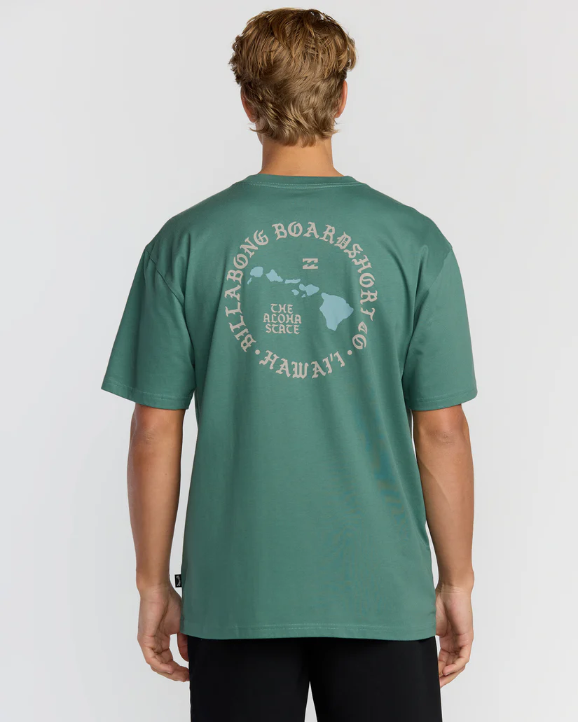 alohaislandhiregularss2_billabong