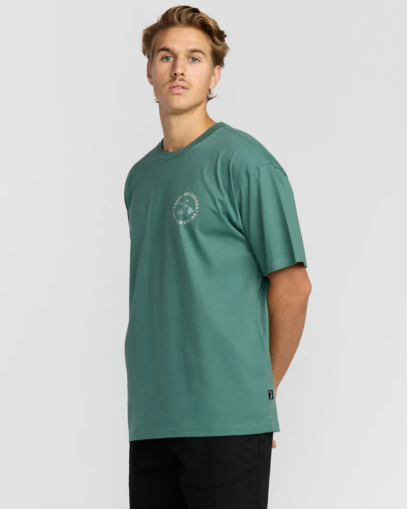 alohaislandhiregularss3_billabong