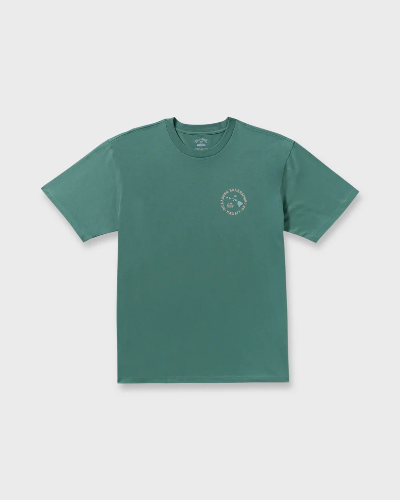 alohaislandhiregularss6_billabong