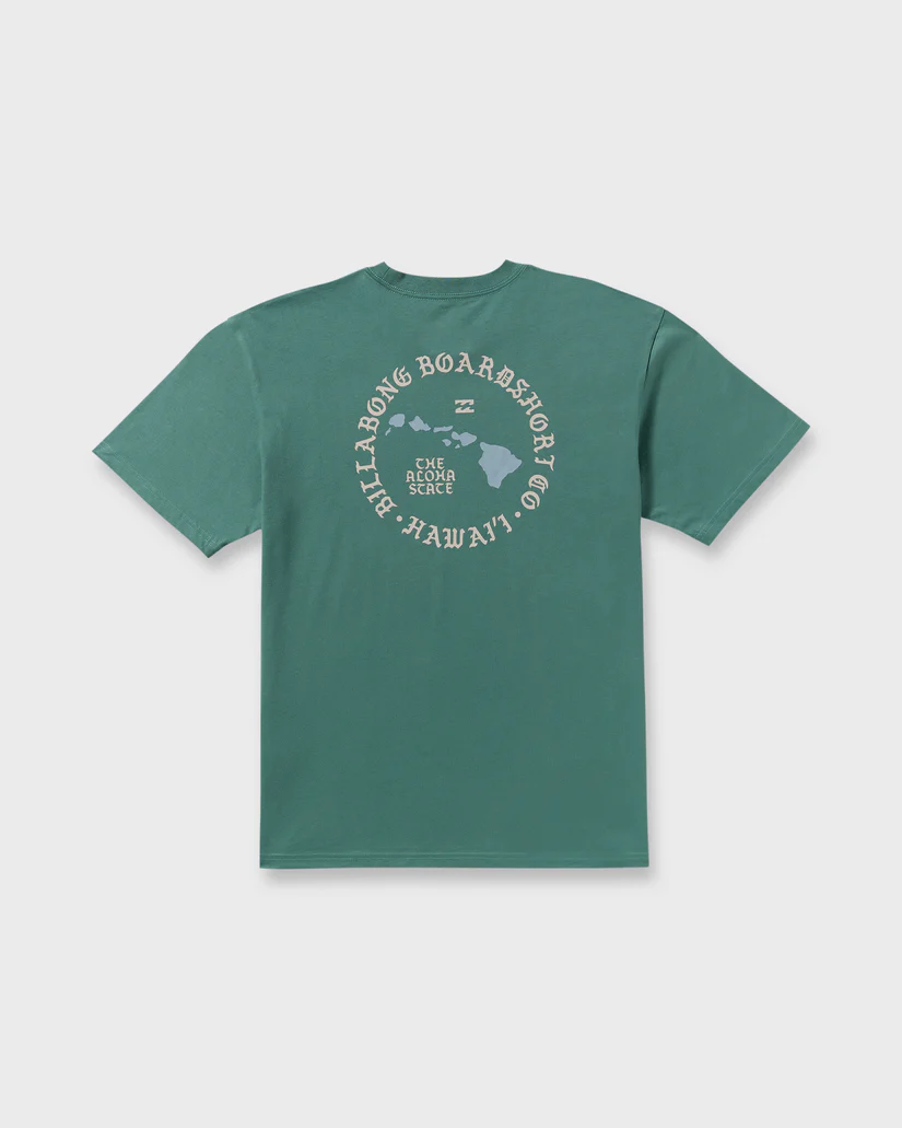 alohaislandhiregularss7_billabong