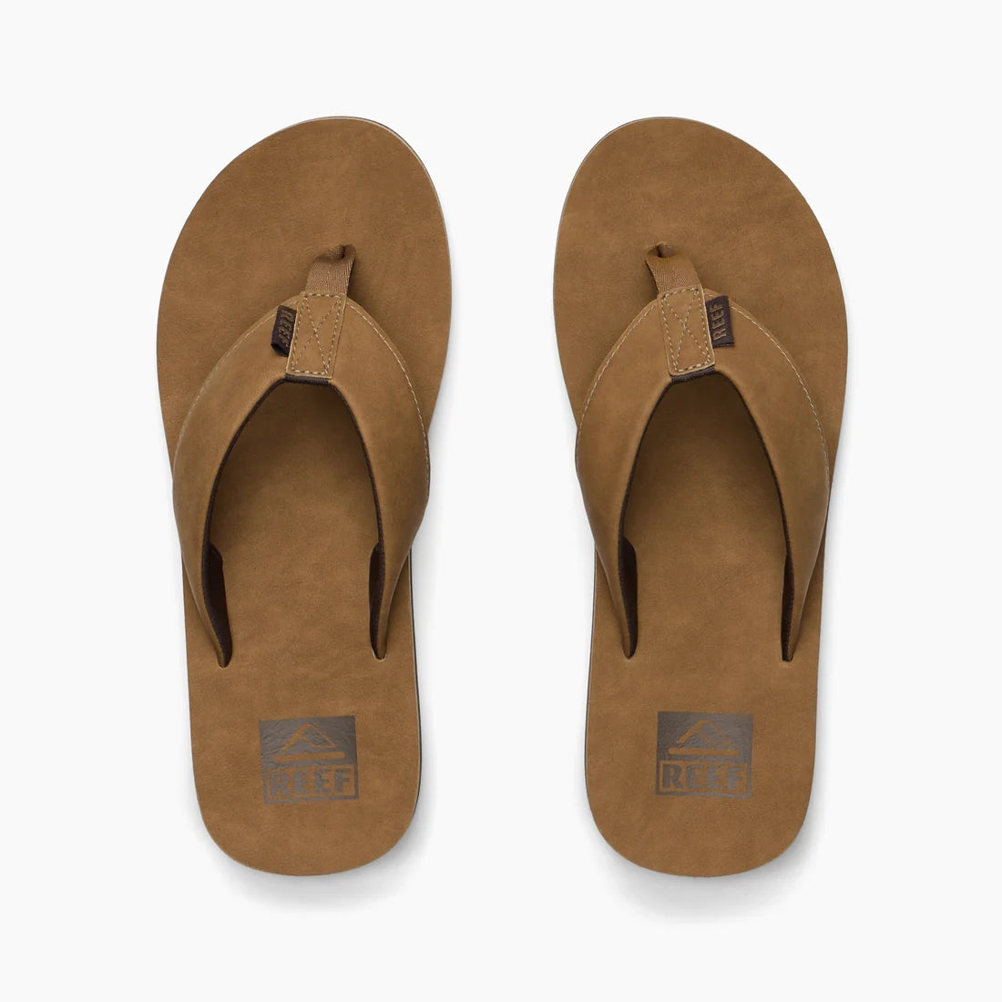 Groundswell SL