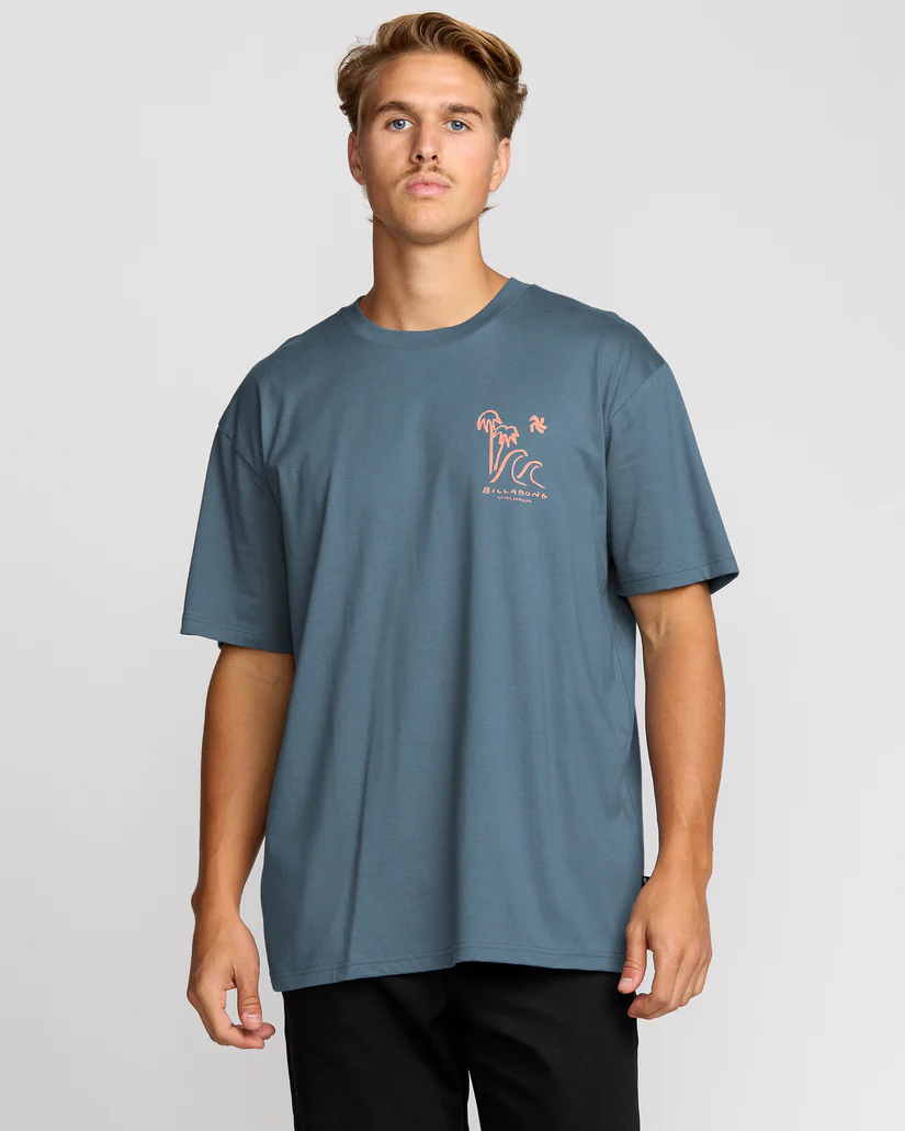 sofarregularss1_billabong