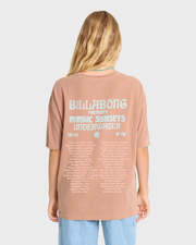 takeatoursstee_billabong